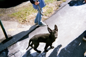 Negative0-02-0A(1).jpg