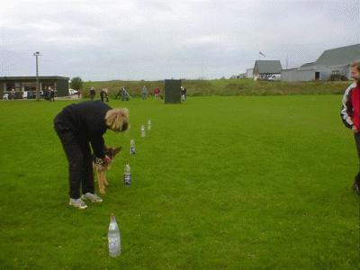 mix20062.gif